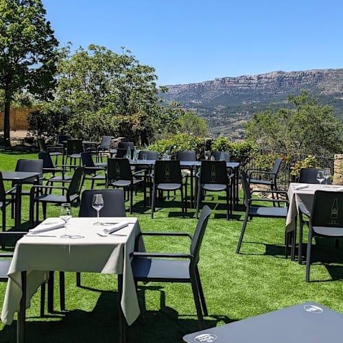 restaurant reviews